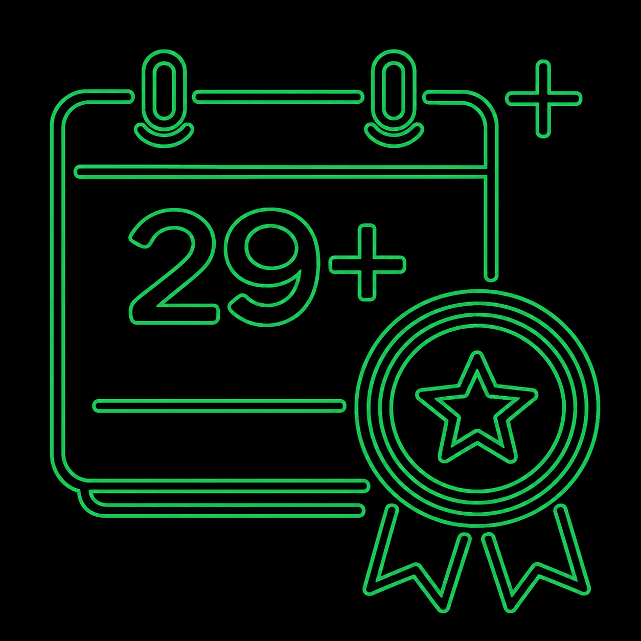 29 plus years experience